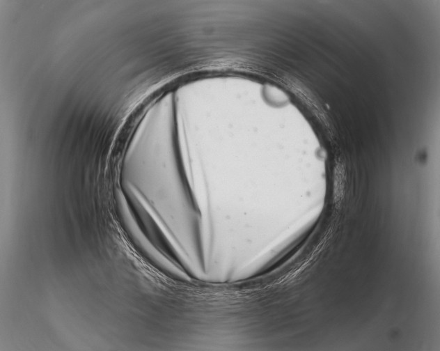 X0000116140876200912141130