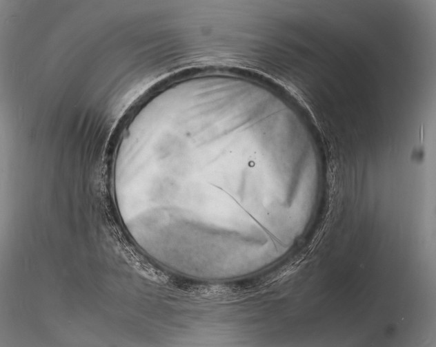 X0000116140879200912141130