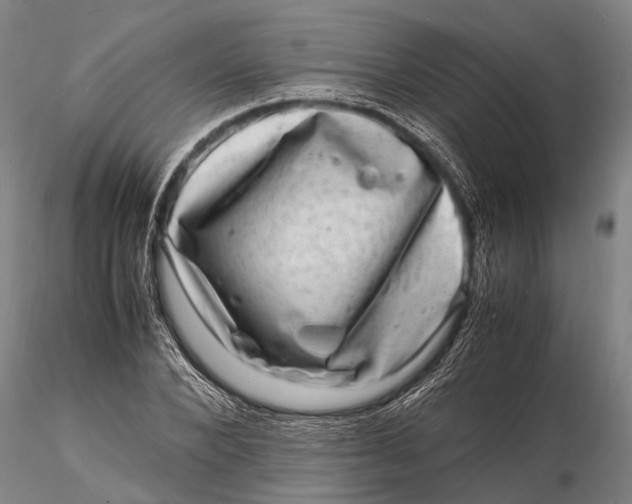 X0000116140880200912141130