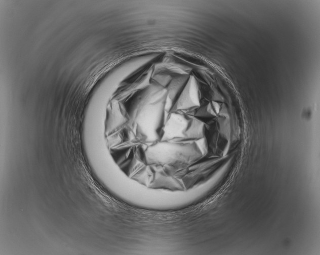 X0000116140881200912141130