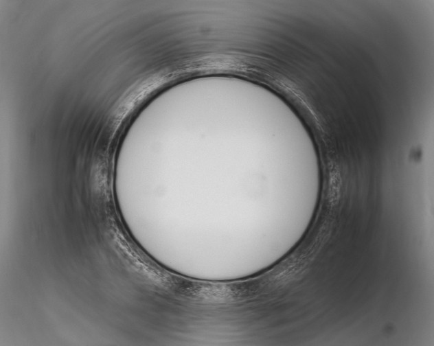 X0000116140882200912141130