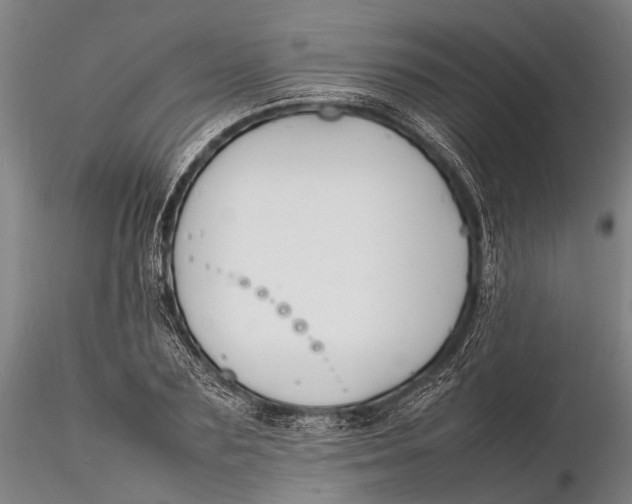 X0000116140883200912141130