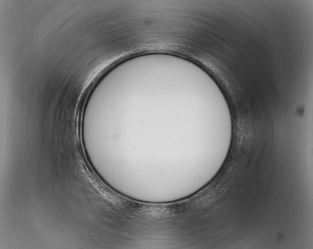 X0000116140886200912141130