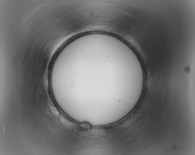 X0000116140888200912141130