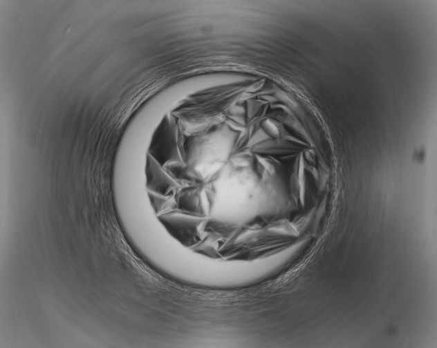 X0000116140889200912141130