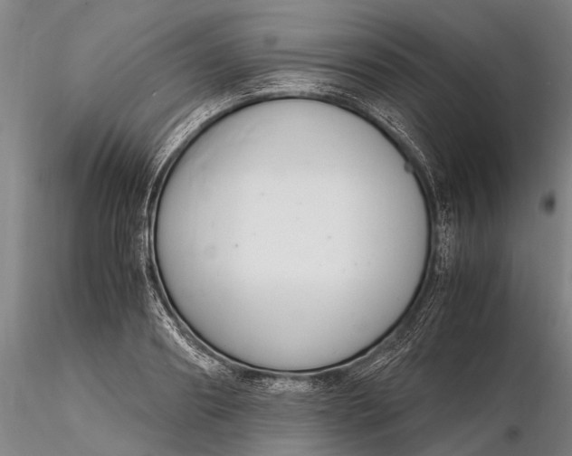 X0000116140890200912141130