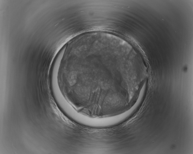 X0000116140892200912141130