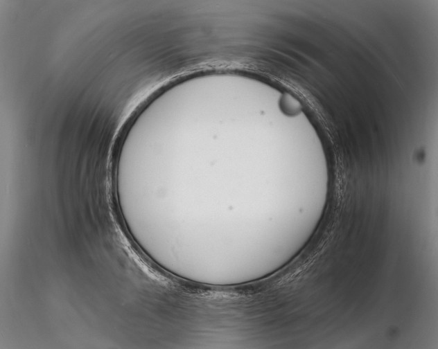 X0000116140894200912141130