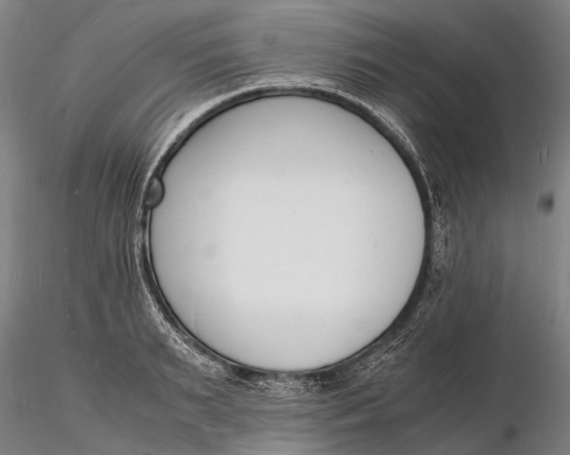 X0000116140895200912141130