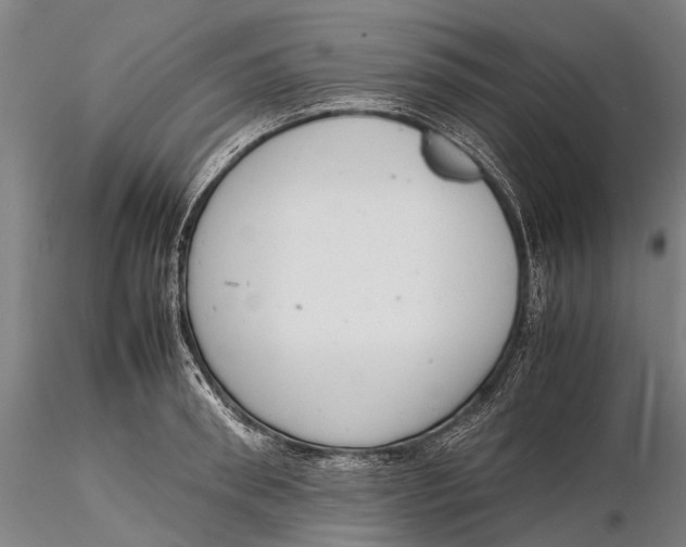 X0000116140898200912141130