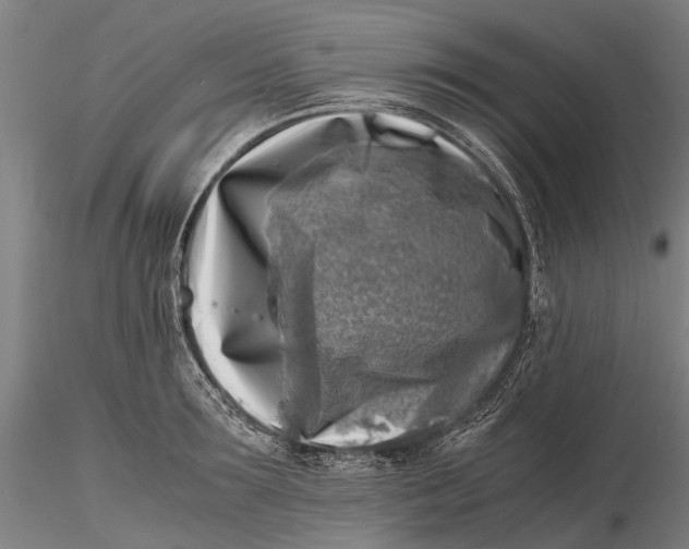 X0000116140899200912141130