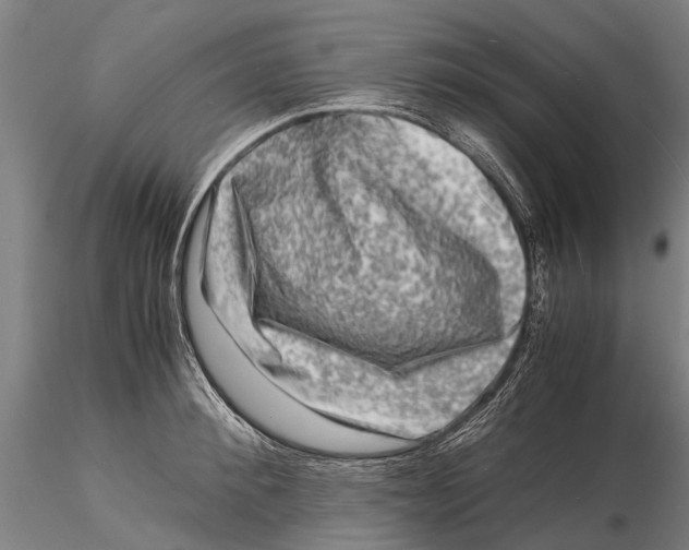 X0000116140900200912141130