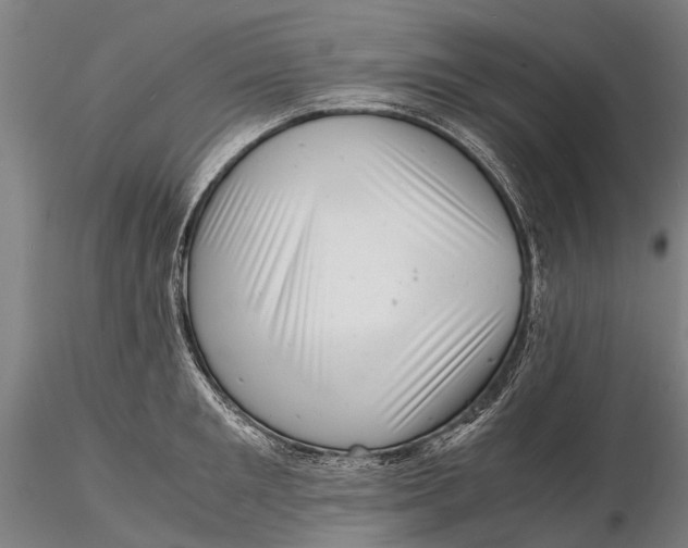 X0000116140901200912141130