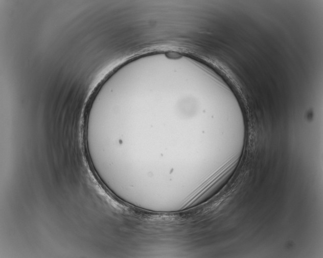 X0000116140902200912141130