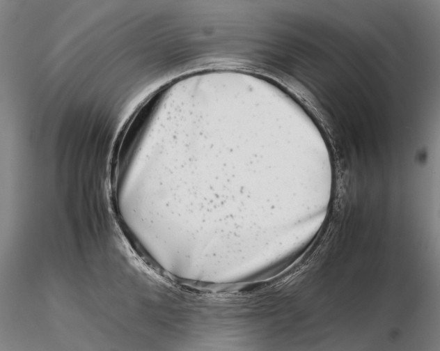 X0000116140904200912141130