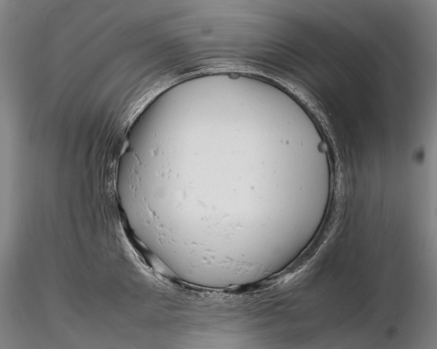 X0000116140905200912141130