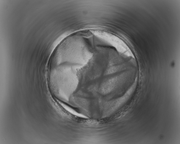 X0000116140907200912141130