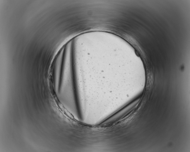 X0000116140908200912141130