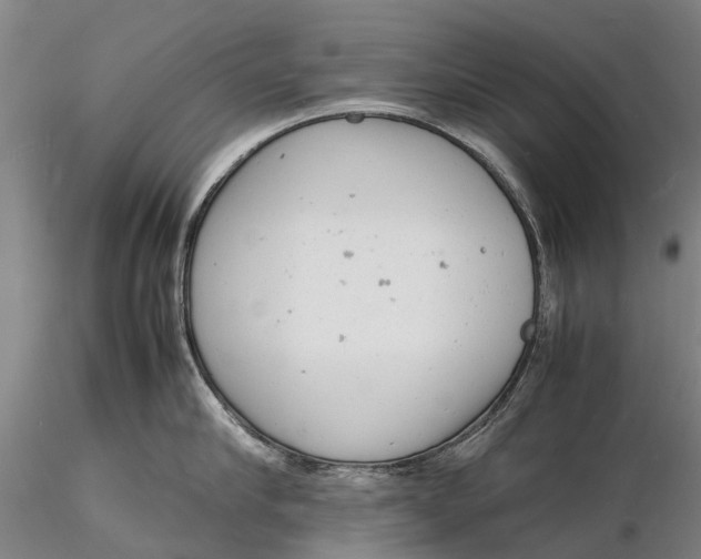 X0000116140910200912141129