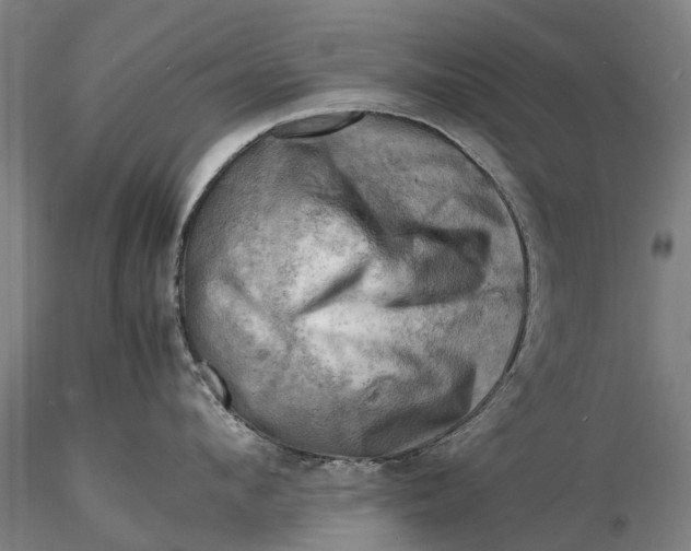 X0000116140912200912141129