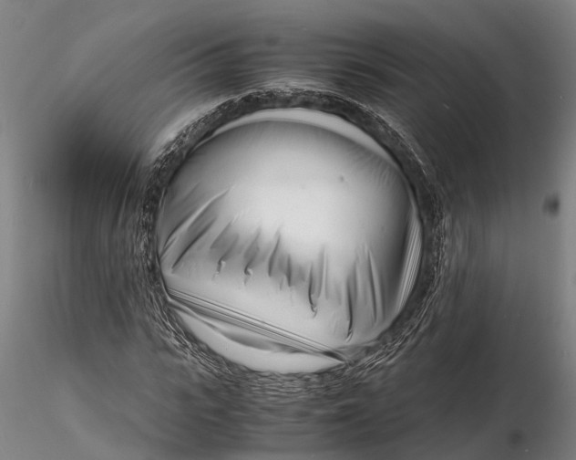 X0000116140919200912141129