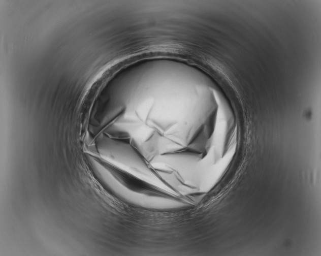 X0000116140923200912141129