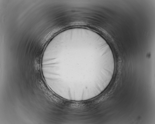 X0000116140929200912141129