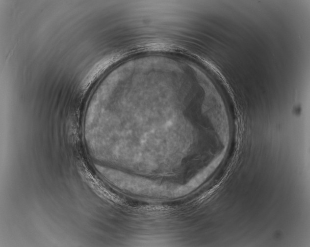 X0000116140930200912141129