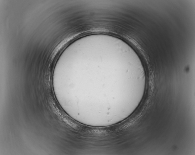 X0000116140933200912141129