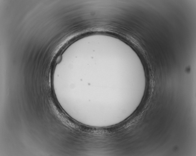 X0000116140934200912141129