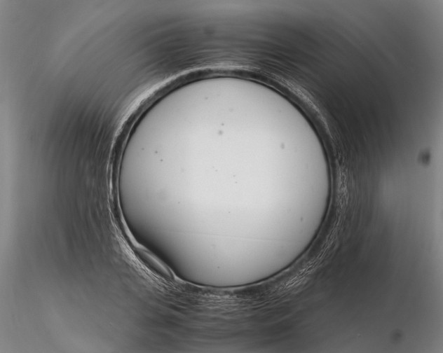 X0000116140935200912141129