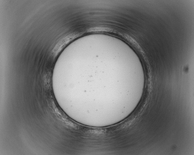 X0000116140937200912141129