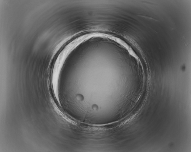 X0000116140941200912141129