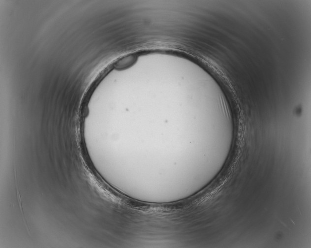 X0000116140942200912141129