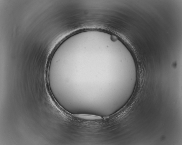 X0000116140943200912141129