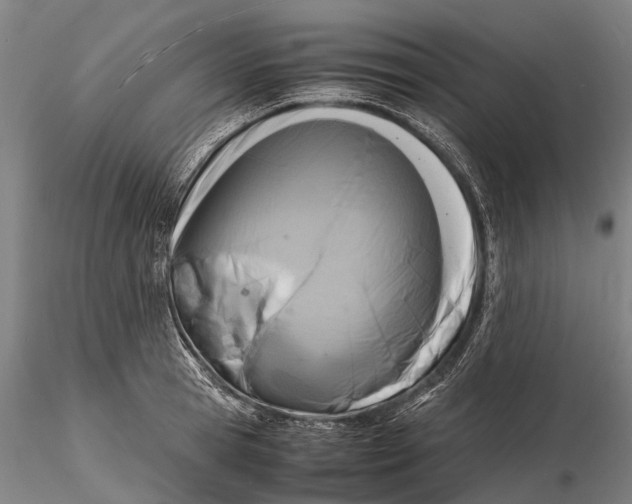 X0000116140945200912141129