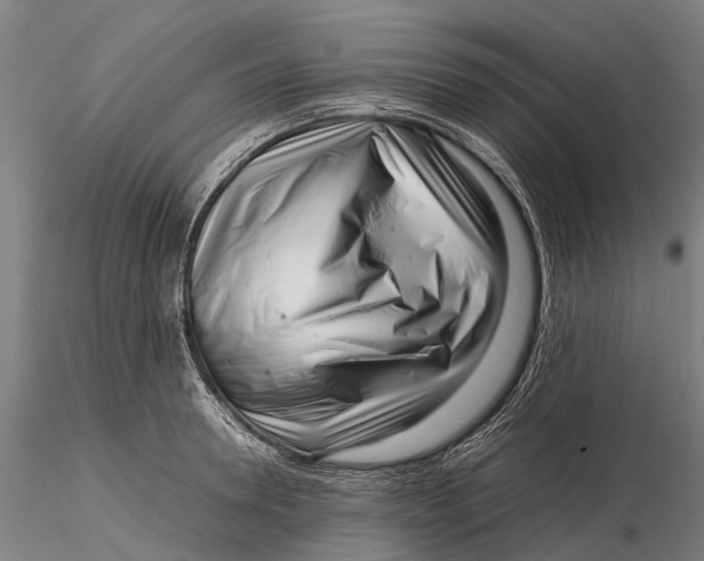 X0000116140946200912141129