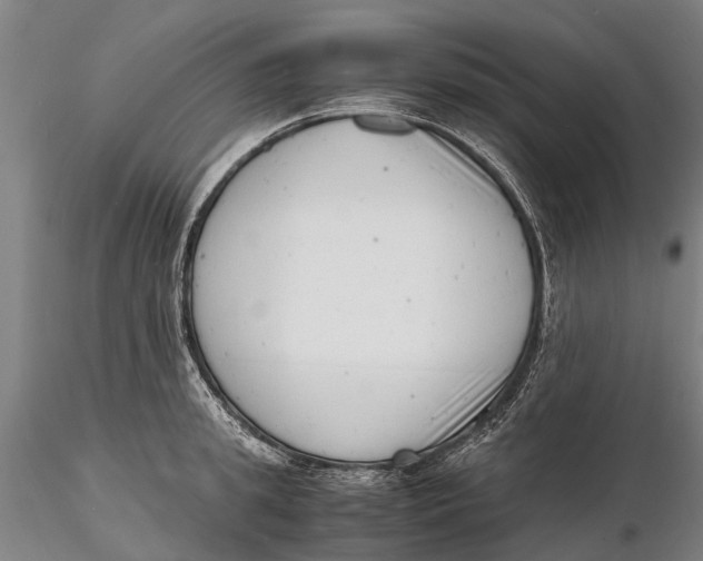 X0000116140949200912141129