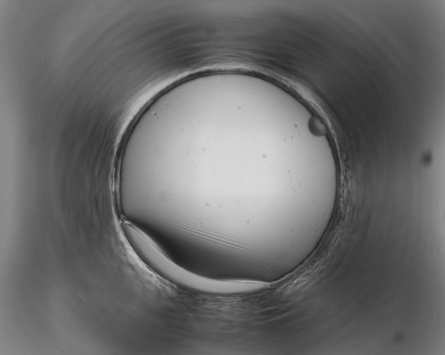 X0000116140951200912141129