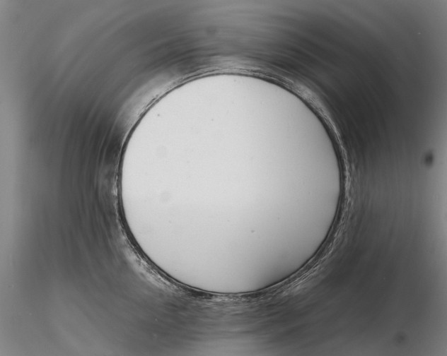 X0000116140954200912141129