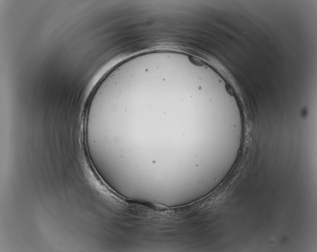 X0000116140955200912141129