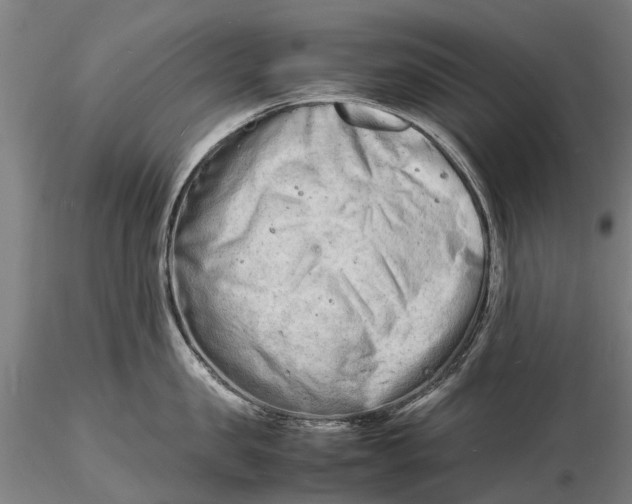 X0000116140957200912141129