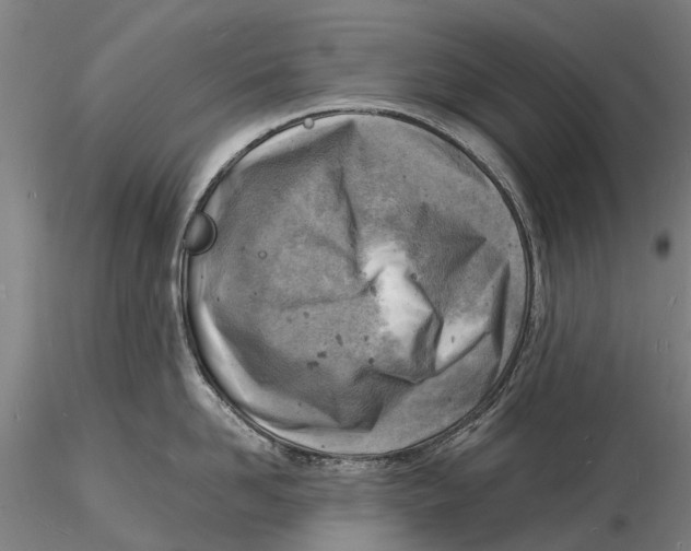 X0000116140958200912141129