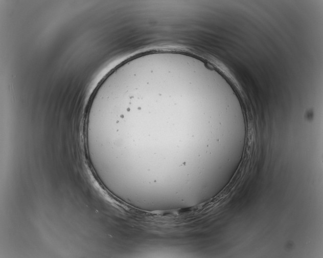 X0000116140959200912141129