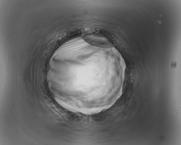 X0000116140961200912141129