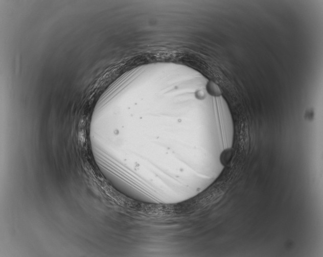 X0000116140962200912141129