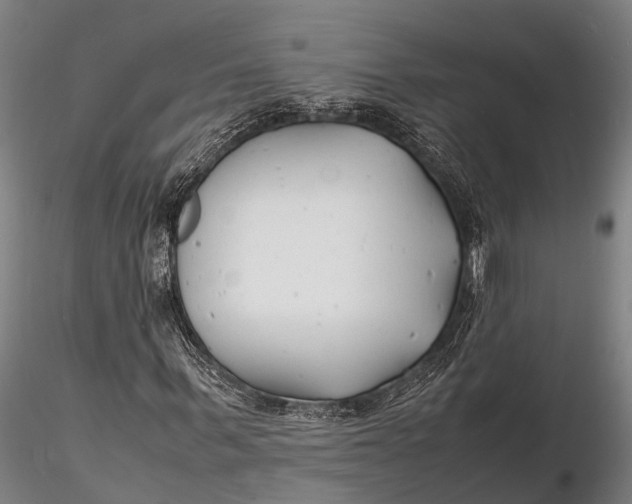 X0000116140963200912141129