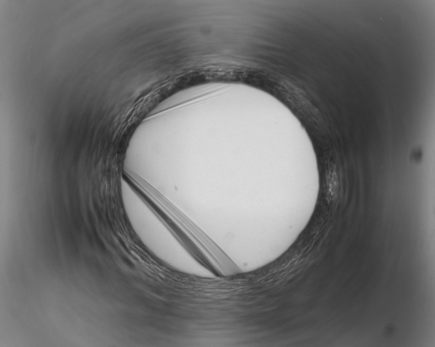 X0000116140964200912141129