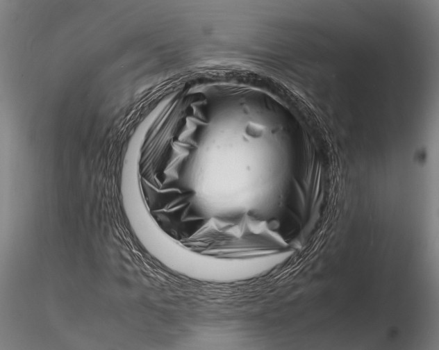 X0000116140965200912141129