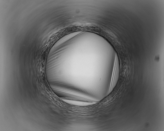 X0000116140966200912141129